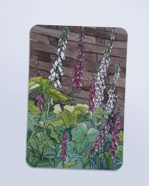 MarinaGroth_Aquarell_Fingerhut