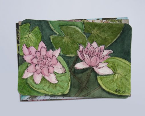 MarinaGroth_Aquarell_Seerosen